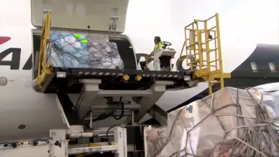 Several groups come together to fly supplies to Jamaica in aftermath of Hurricane Melissa