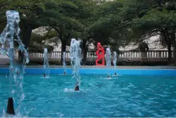 Abstraction in motion