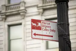 Central Park carriage driver pushed collapsed horse ‘too hard,’ prosecutors say at trial